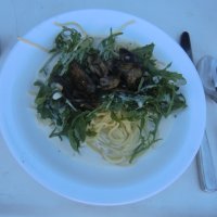 Ruderexkursion in der Mainaubucht