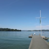 Ruderexkursion in der Mainaubucht