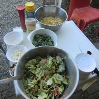 Ruderexkursion in der Mainaubucht