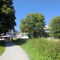 Ruderexkursion in der Mainaubucht