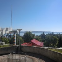 Ruderexkursion in der Mainaubucht