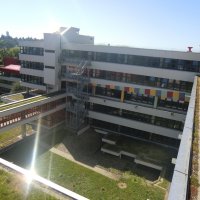 Ruderexkursion in der Mainaubucht