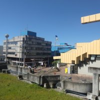 Ruderexkursion in der Mainaubucht