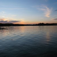 Ruderexkursion in der Mainaubucht