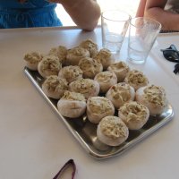 Ruderexkursion in der Mainaubucht