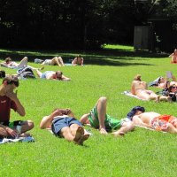 Ruderexkursion in der Mainaubucht