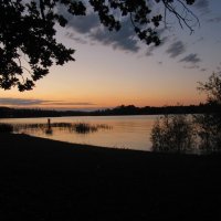 Ruderexkursion in der Mainaubucht