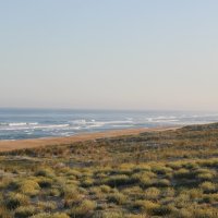 Studienfahrt am Atlantik