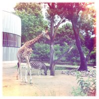 Studienfahrt Dresden 2012