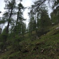 Studienfahrt Rund um den Watzmann