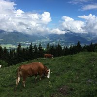 Studienfahrt Rund um den Watzmann