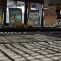 Tag der offenen Tür 2014