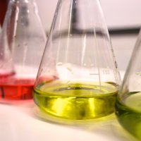 Tag der offenen Tür 2015