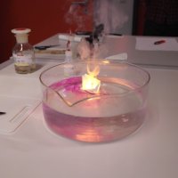 Tag der offenen Tür 2015