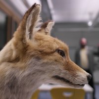 Tag der offenen Tür 2015