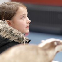 Tag der offenen Tür 2016