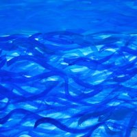 Klassen 5 zum Thema "Wasser"