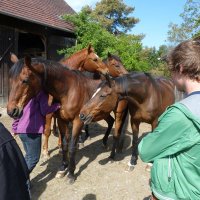 Studientag zur Verhaltensbiologie