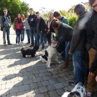 Studientag zur Verhaltensbiologie