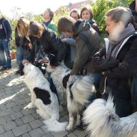 Studientag zur Verhaltensbiologie