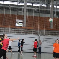 Schüler siegen im Volleyball-Finale