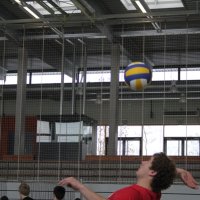 Schüler siegen im Volleyball-Finale