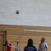 Schüler siegen im Volleyball-Finale