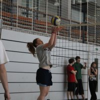 Schüler siegen im Volleyball-Finale