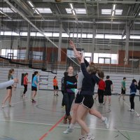 Schüler siegen im Volleyball-Finale