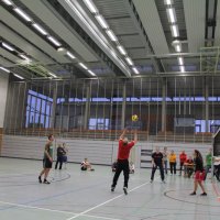 Schüler siegen im Volleyball-Finale